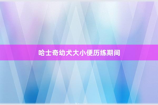 哈士奇幼犬大小便历练期间